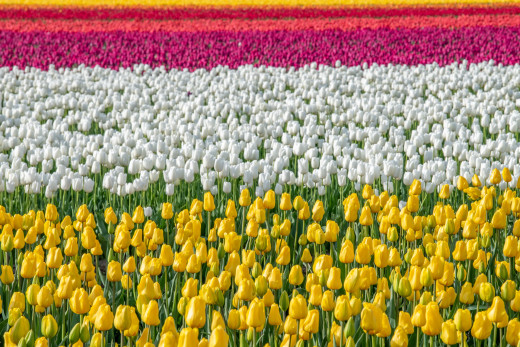 �1761688 �������(a): ����������:1920x1279